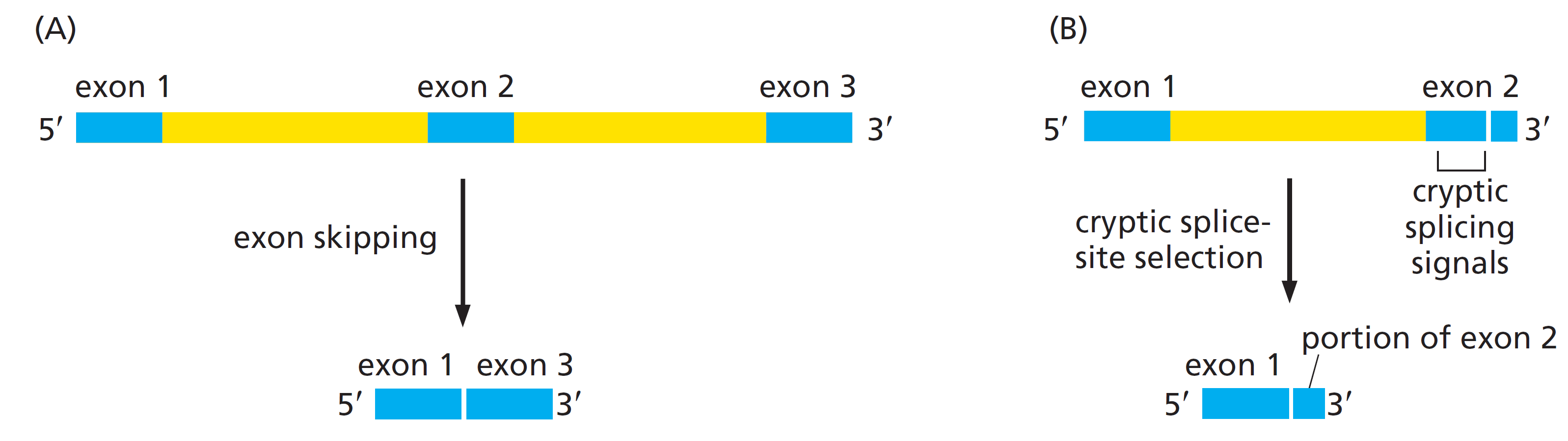 Figure 6-30.png